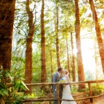 Bridal Hair and Makeup Wedding Westin St. Francis, Stern Grove