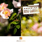 Wedding Hair and Makeup at the Berkeley Rose Garden, CA