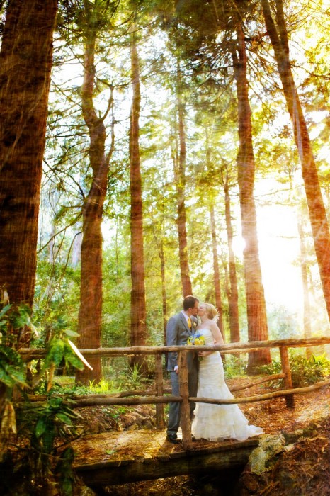 Bridal Hair and Makeup Wedding Westin St. Francis, Stern Grove