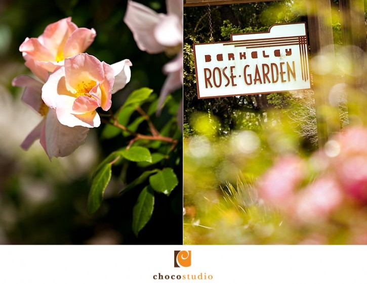 Wedding Hair and Makeup at the Berkeley Rose Garden, CA